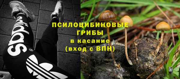 круглые Белокуриха